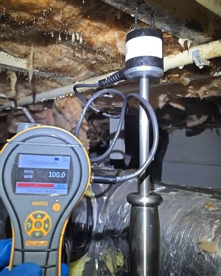 Pin moisture meter and probe testing water-damaged building materials during an inspection.